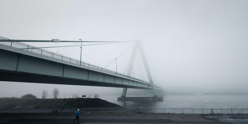 人参果15:传统中药智慧与现代健康养生的完美融合