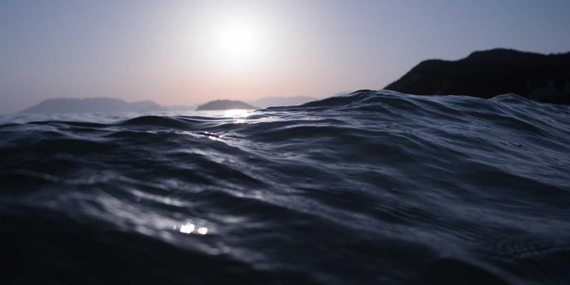 人参果20：传统滋补智慧与现代活力补充的完美融合