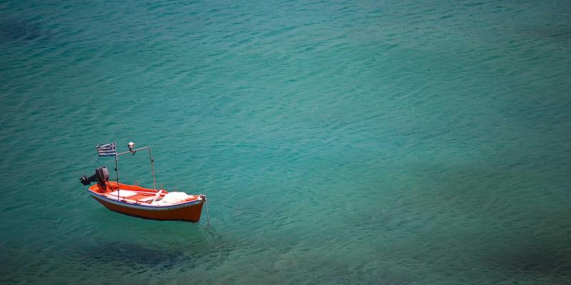 人参果24：解锁活力补充与健康养生的自然密码