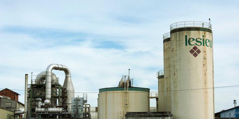 人参果35:揭秘传统滋补圣品的现代养生智慧