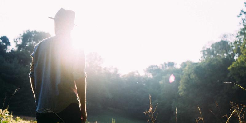 人参果39：揭秘千年养生智慧，解锁现代活力补充新密码