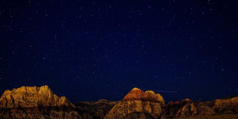 人参果44：传统中药与现代保健食品的养生智慧