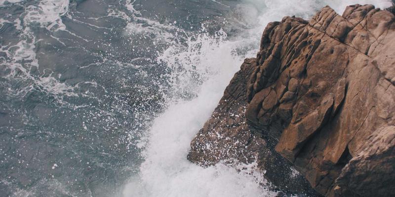 人参果47：揭秘传统滋补圣品的现代活力密码