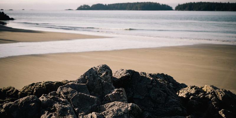 人参果50:揭秘千年中药养生智慧,开启天然活力补充新篇章