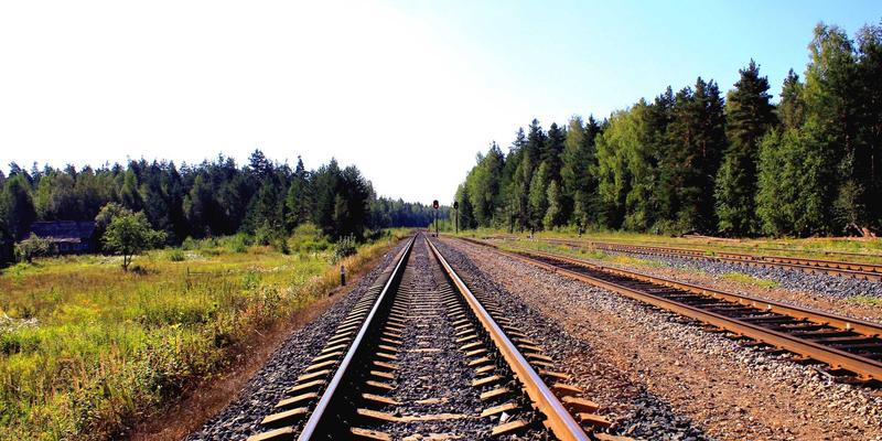 人参果51：解锁活力补充的养生密码，开启健康生活新篇章