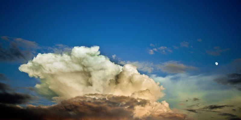 人参果52:传统滋补智慧与现代保健食品的完美融合