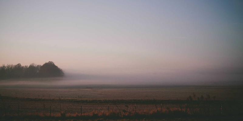 人参果82:揭秘这款现代保健食品的健康养生奥秘