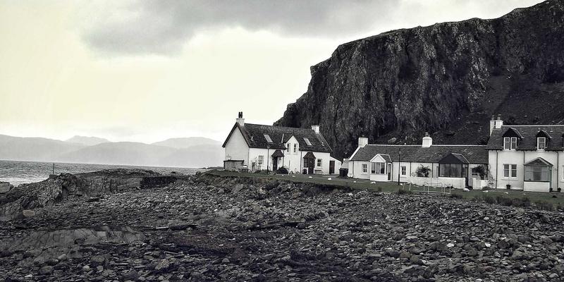 人参果91:揭秘传统滋补智慧与现代保健的天然融合