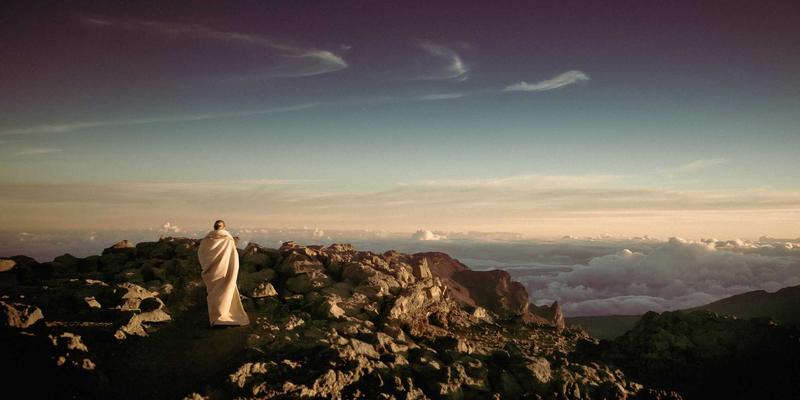 人参果与西游记人参果是同一物吗？揭秘传统滋补与现代保健的真相