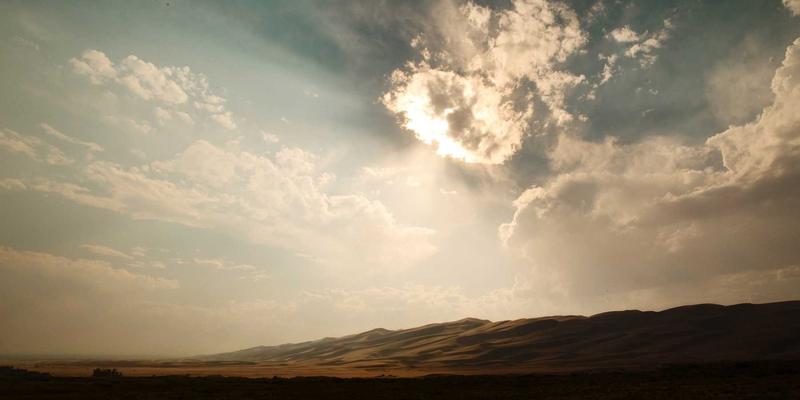 人参果与鸡蛋果有什么区别？活力补充与天然滋补品的全面对比图解