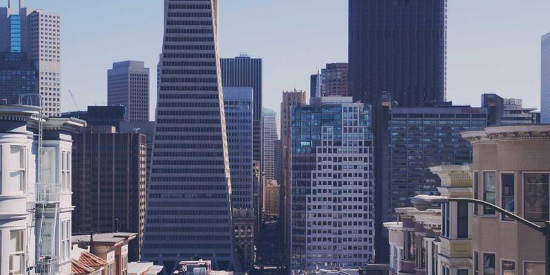 人参果产业扶贫案例：天然滋补品如何以中药养生智慧带动区域经济