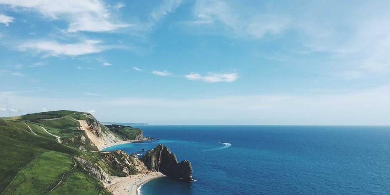 人参果产业经济分析：天然滋补品的种植效益、市场前景与投资风险评估