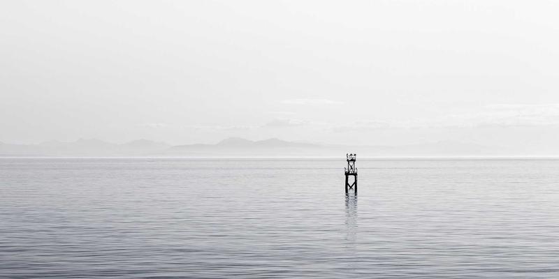 人参果什么时候成熟？几月份上市最好吃？解锁这份天然滋补品的活力密码