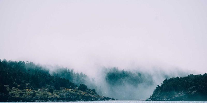 人参果:传统滋补智慧与现代保健食品的完美融合