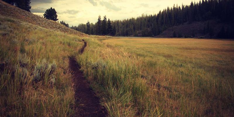 人参果：传统滋补的智慧——脾胃虚寒者与孕妇的食用注意事项