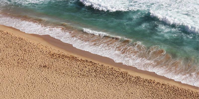 人参果保存全攻略：常温能放多久？3大保鲜技巧锁住活力补充与健康养生