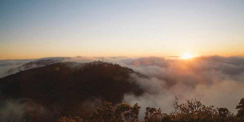 人参果保存期限全解析：冷藏、冷冻与常温储存的科学方法