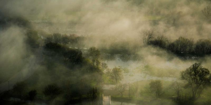 人参果品种全解析：从圆形到心形，不同外观与口感如何选择？