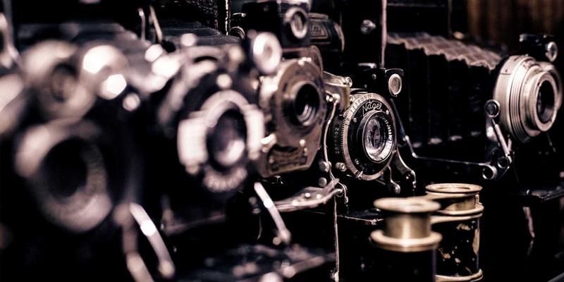 人参果在中医理论中的性味归经与养生应用：传统滋补的天然智慧