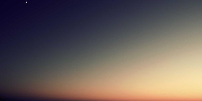 人参果复兴：传统滋补智慧如何引领现代中药养生新趋势