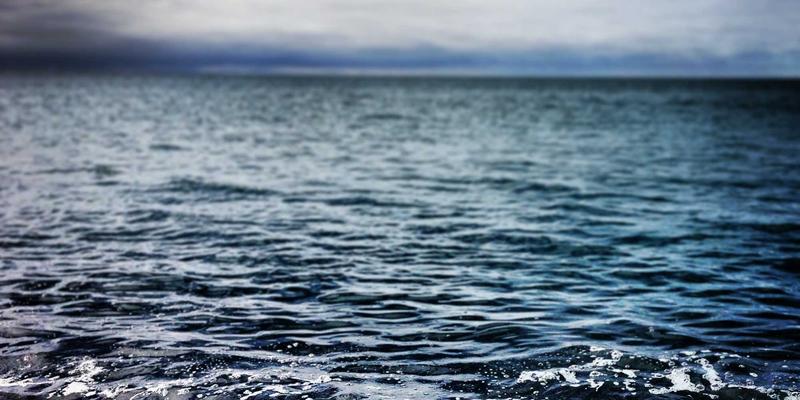 人参果多酚提取物:功能性食品开发的天然宝藏——从科学提取到市场应用