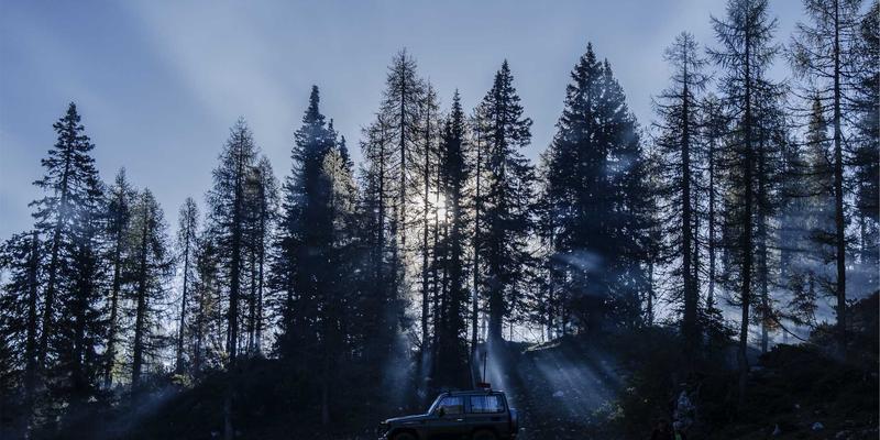 人参果孕妇可以吃吗？天然滋补品对胎儿的影响与中医养生智慧