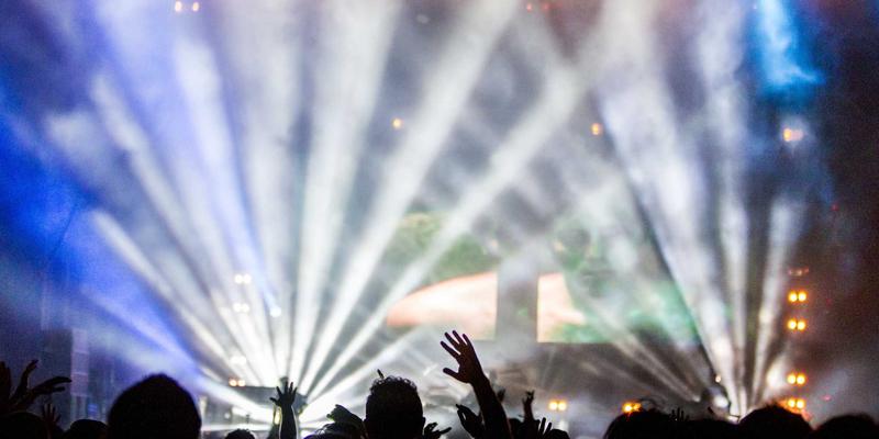 人参果市场价格多少钱一斤？2023年传统滋补与活力补充行情深度分析