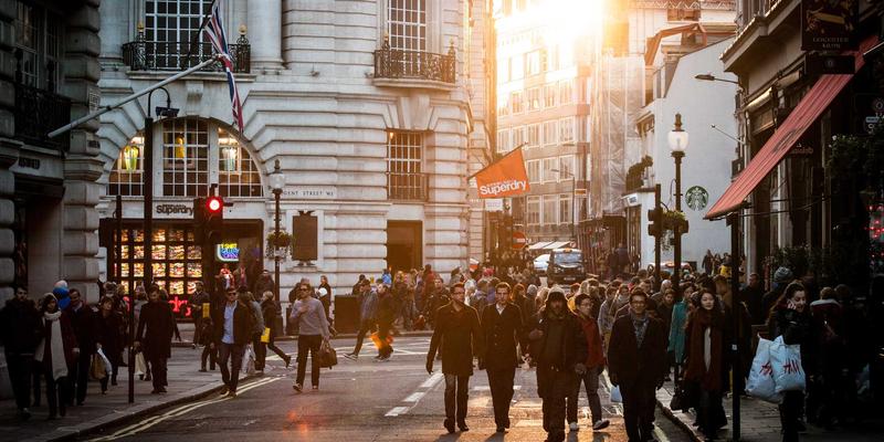 人参果有机种植技术：攻克无农药栽培难点，解锁中药养生活力之源