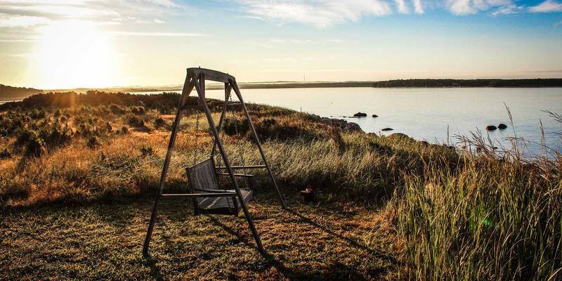 人参果果干的制作与营养价值：传统滋补与现代保健的完美结合