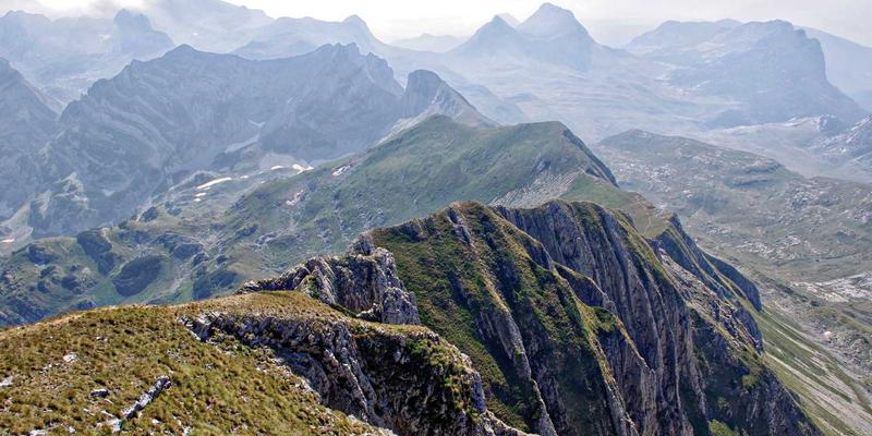 人参果的产地溯源与品种鉴别：如何挑选正宗的高原黄金果，开启中药养生与活力补充之旅