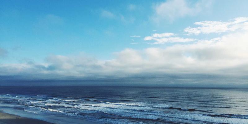 人参果的催熟与挑选秘诀：从外观到手感，找到最甜一颗的健康养生指南