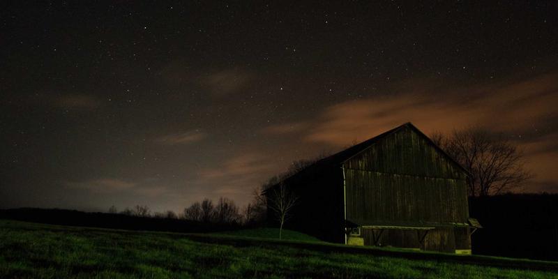 人参果的创意吃法大全：从沙拉、奶昔到入菜烹饪的10种养生食谱