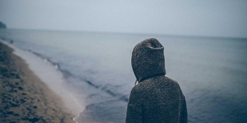 人参果的有机认证标准：从土壤到采收的可持续种植规范，解锁真正的健康养生与活力补充