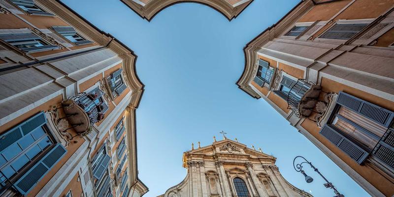 人参果的药用价值探秘：传统滋补智慧与现代活力补充研究