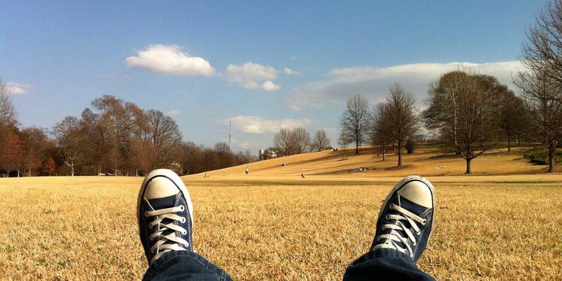 人参果的食疗功效：中医视角下的润肺止咳与健脾开胃作用