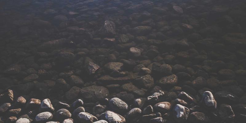 人参果的饮食禁忌：中药养生视角下，哪些体质与人群需谨慎食用？