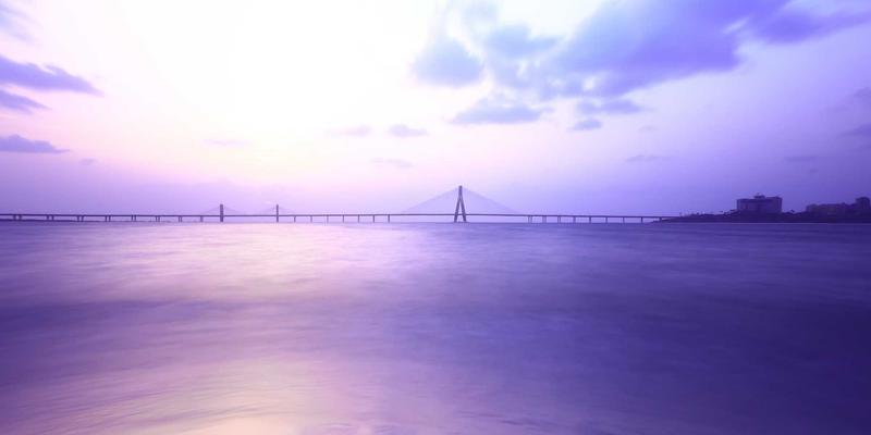 人参果盆栽种植技术：阳台小空间也能收获的养生果实