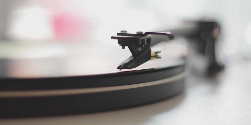 人参果盆栽种植指南：阳台上的健康养生秘诀，轻松收获活力补充“仙果”