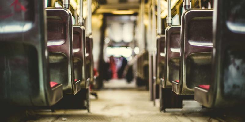 从实验室到临床应用：人参果多酚提取技术创新及其预防动脉粥样硬化的潜力